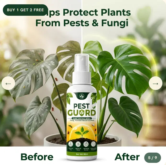 Pest Guard Plant Protect Spray 50 ml for Fungi & Pests (Pack of 3)